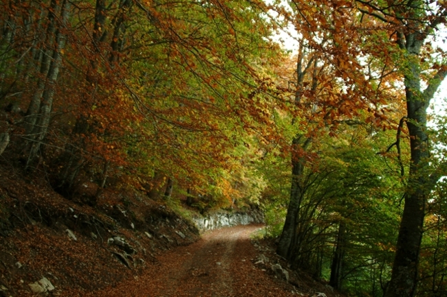 Escursione nel P.N. d''Abruzzo